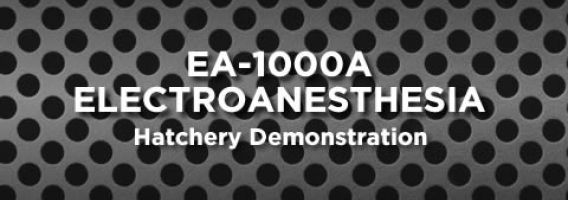 EA-1000A Demonstration
