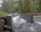 abernathy_fish_barrier_10-04_-_07