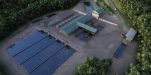 bakerhatchery_01_lg