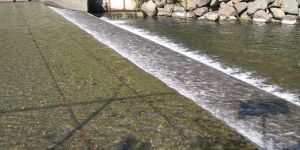 Quilcene 10-04 - 07