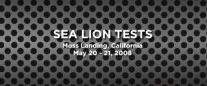 Sea Lion Testing at Moss Landing Marine Labs
