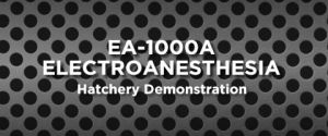 EA-1000A Demonstration