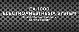 Cowlitz Salmon Hatchery Sorting Facility