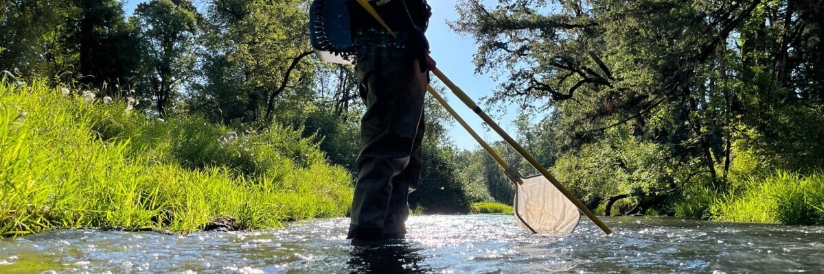 Electrofishing Principles and Safety Certification Course - May 22-23, 2024