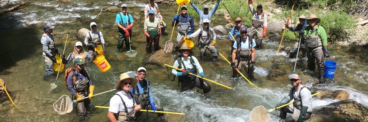 Electrofishing Principles and Safety Certification Course - July 7, 2026