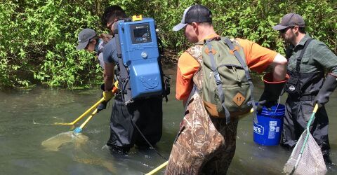Video: “Innovative Electrofishing Equipment: Data, Mapping, & Reporting Made Simple”